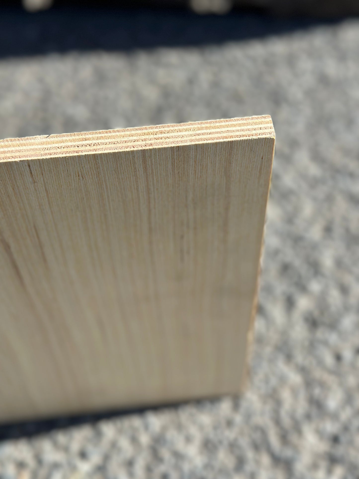 Premium Plywood 12mm